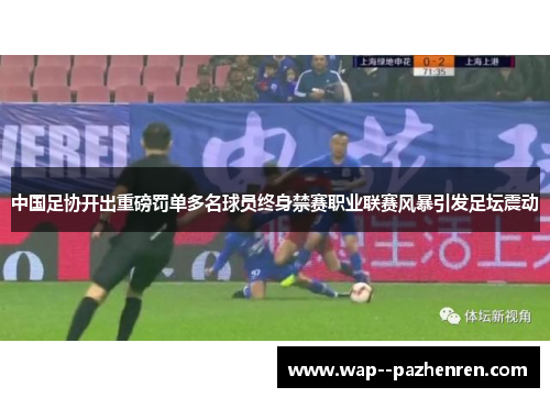 中国足协开出重磅罚单多名球员终身禁赛职业联赛风暴引发足坛震动
